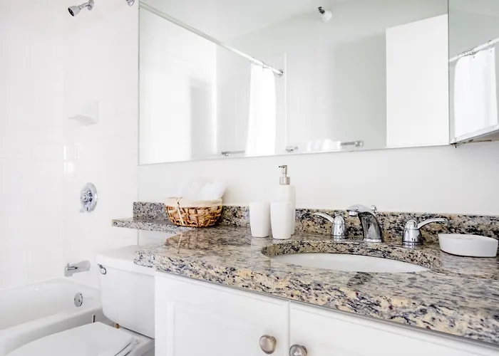 River N 1br W Gym Pool Nr Magnificent Mile Chi-269 Apartment