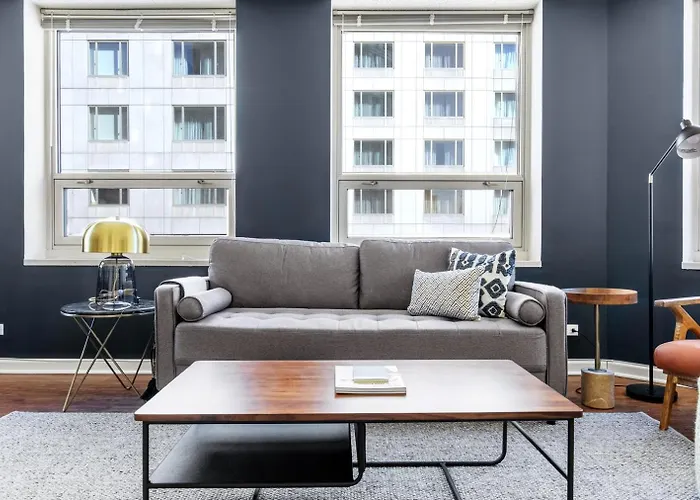 Apartment River N 1br W Gym Pool Nr Magnificent Mile Chi-269 Chicago
